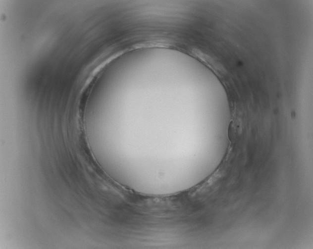 X0000079340338200612082030