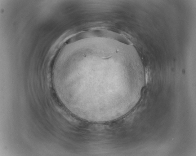 X0000079340339200612082030