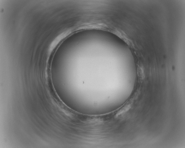 X0000079340340200612082030