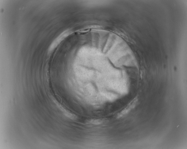 X0000079340341200612082030