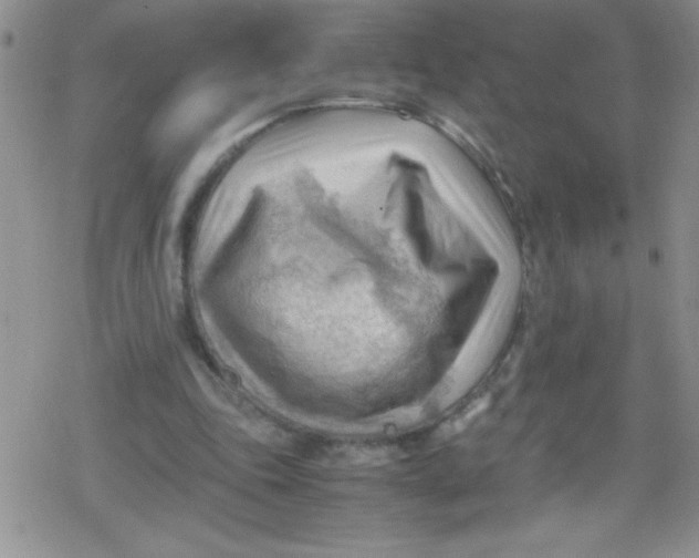 X0000079340343200612082030