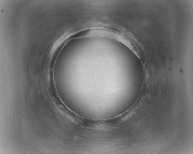 X0000079340344200612082030