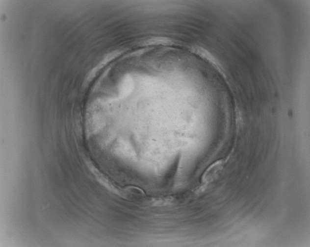 X0000079340345200612082030