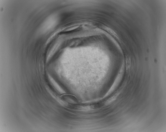 X0000079340349200612082030