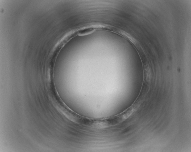 X0000079340350200612082030