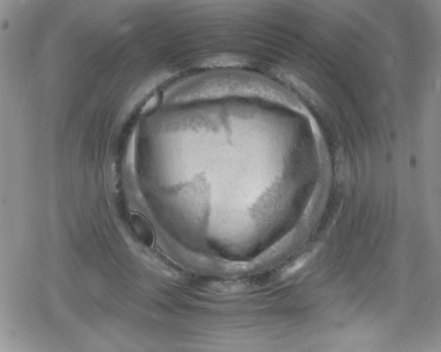 X0000079340351200612082030