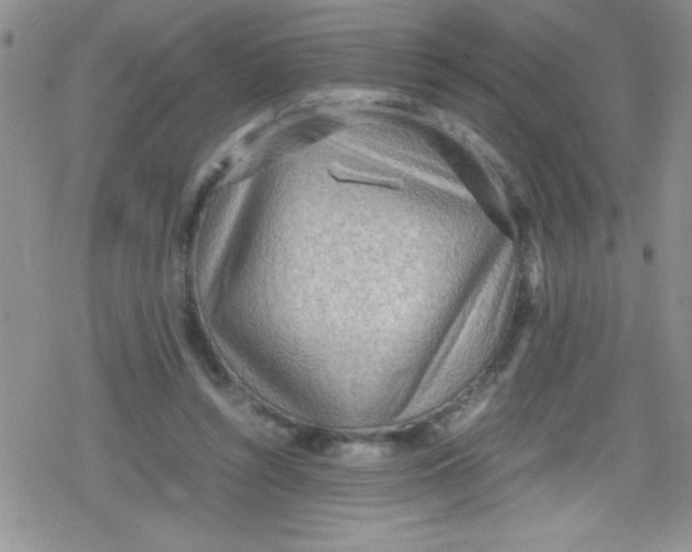 X0000079340352200612082030