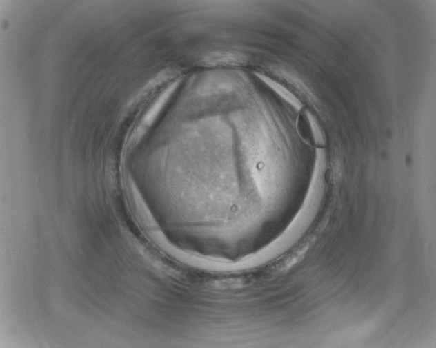 X0000079340353200612082030