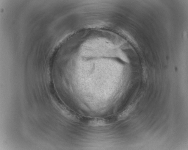 X0000079340354200612082030