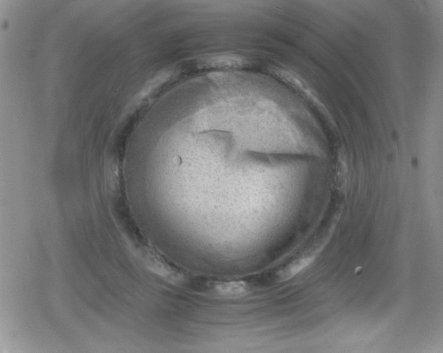 X0000079340355200612082030