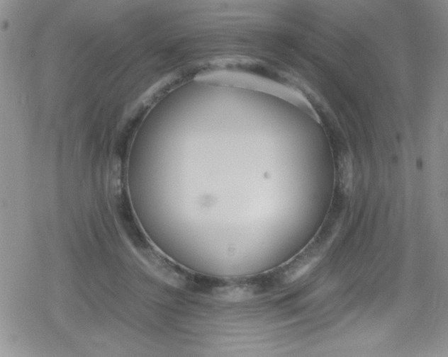 X0000079340356200612082030