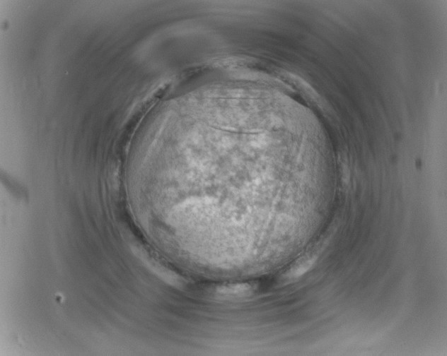 X0000079340357200612082030