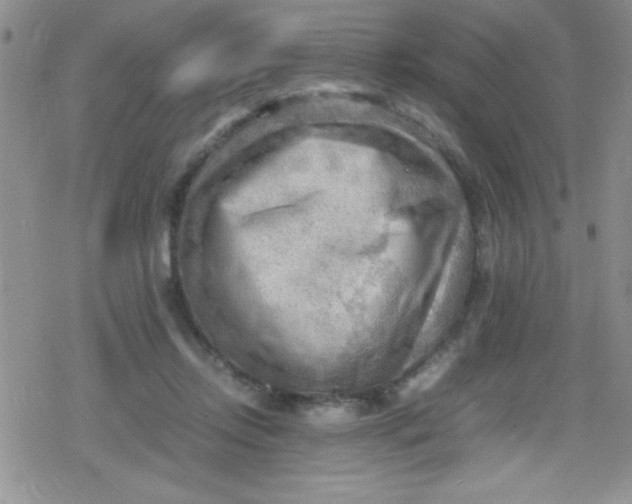 X0000079340358200612082030