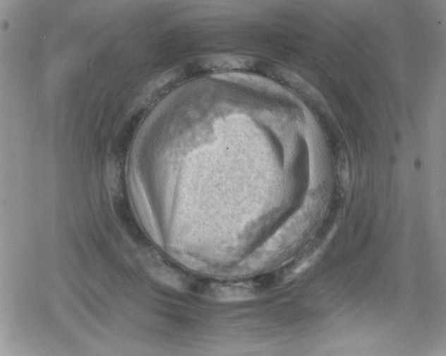 X0000079340359200612082030