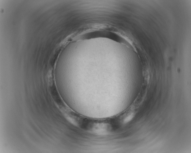 X0000079340360200612082030