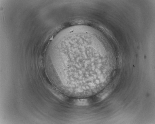 X0000079340361200612082030