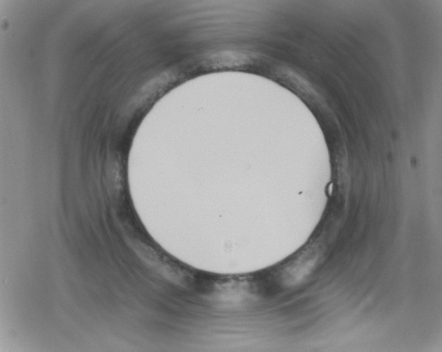 X0000079340362200612082030