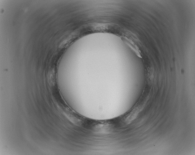 X0000079340364200612082030