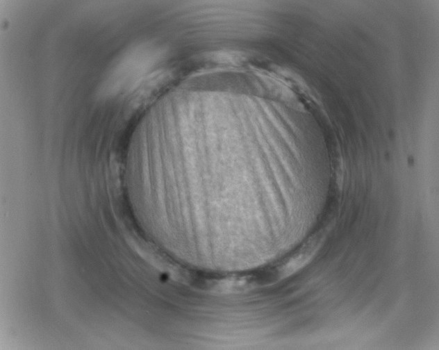 X0000079340366200612082030