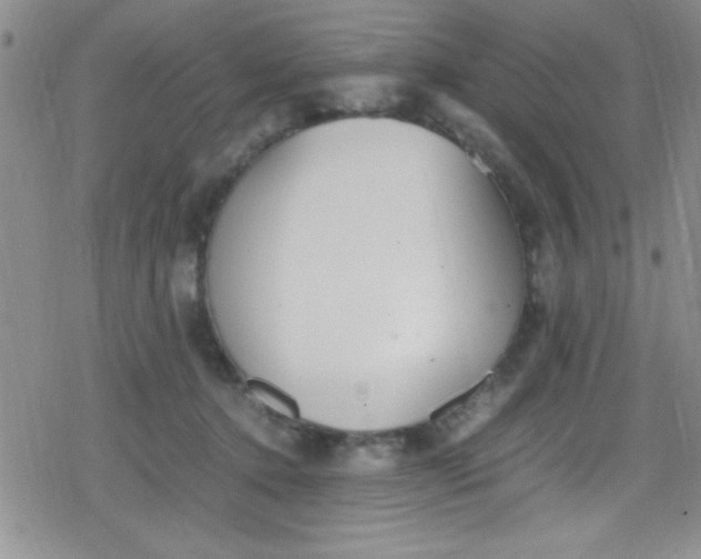 X0000079340368200612082030