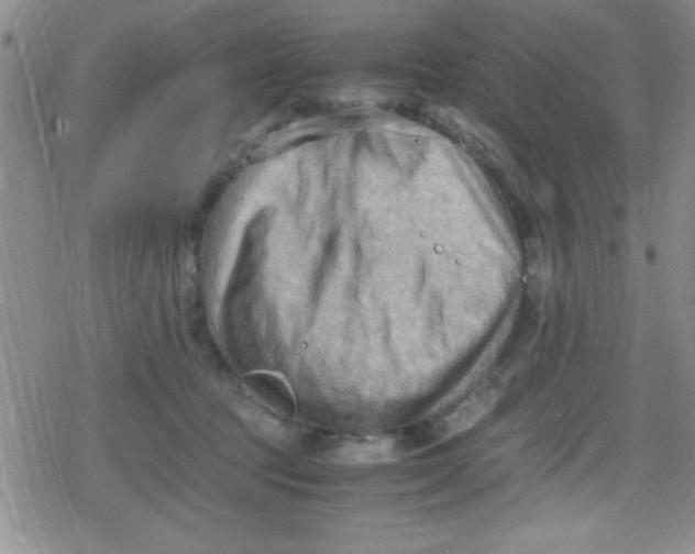 X0000079340369200612082030