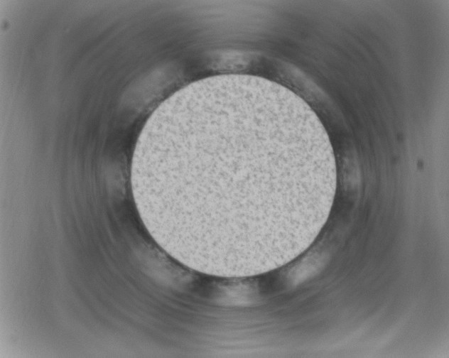 X0000079340370200612082030