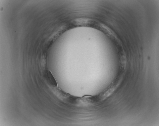 X0000079340372200612082030