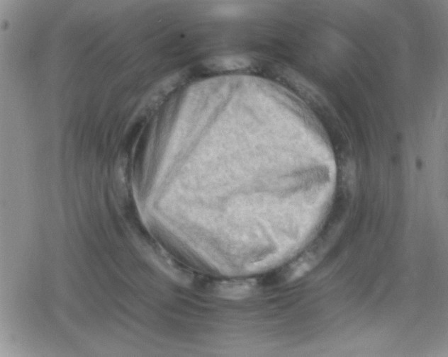 X0000079340373200612082030