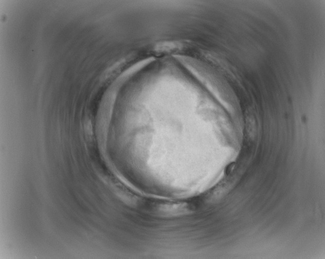 X0000079340375200612082030