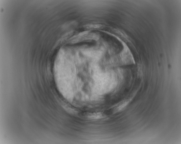 X0000079340377200612082030