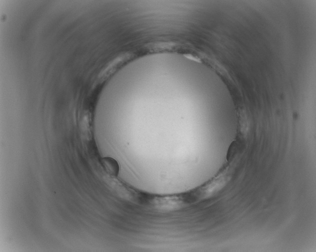 X0000079340378200612082030