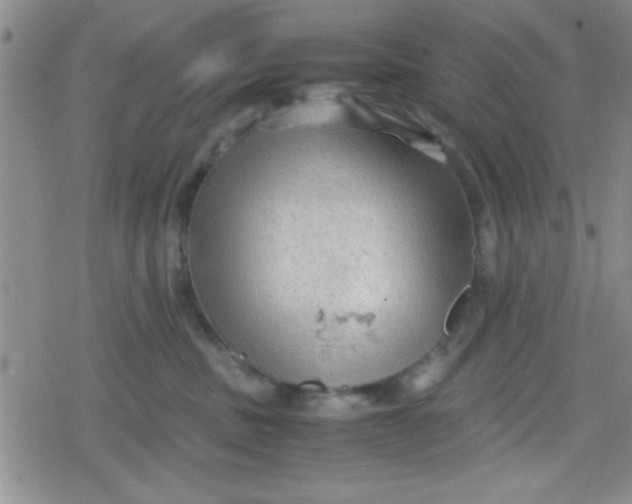 X0000079340379200612082030