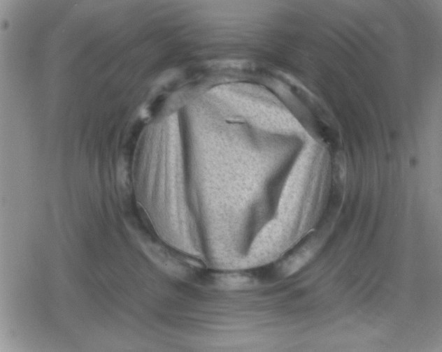 X0000079340380200612082030