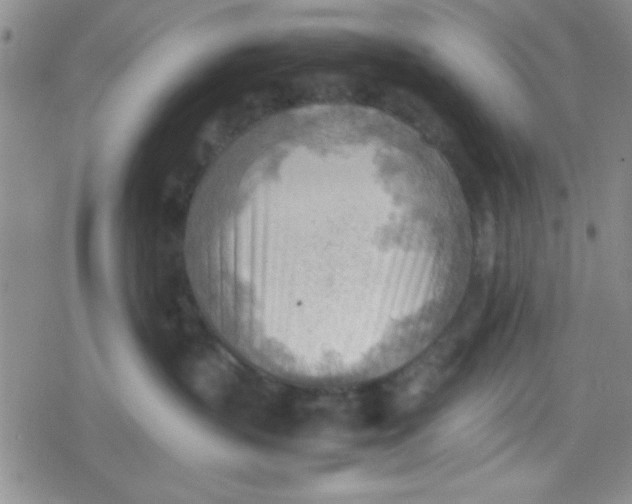 X0000079340383200612082030