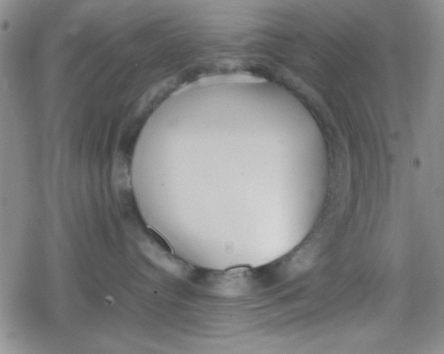 X0000079340384200612082030