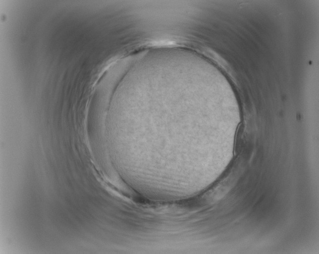 X0000079340385200612082030