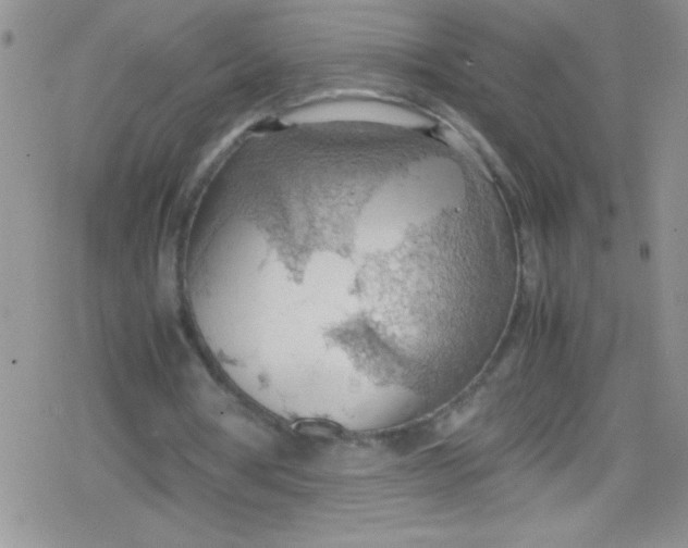 X0000079340386200612082030