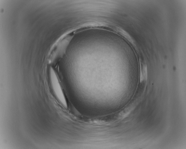 X0000079340387200612082030