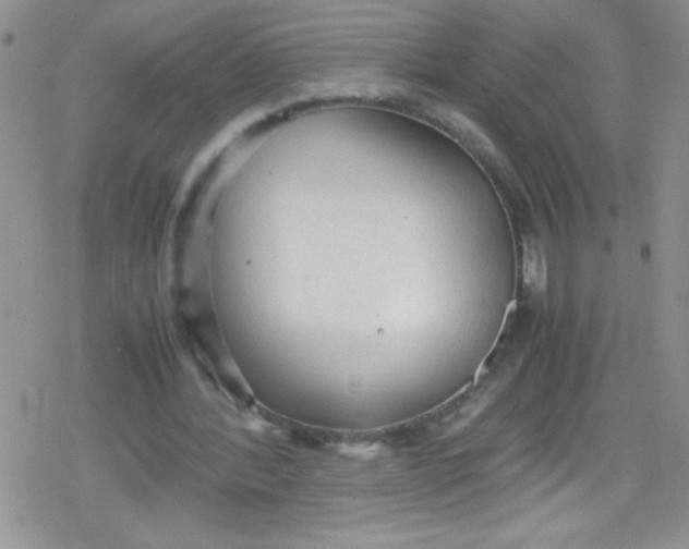 X0000079340388200612082029