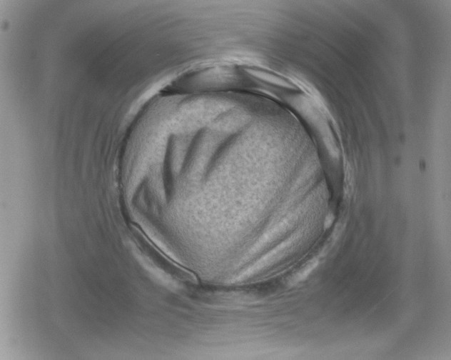 X0000079340389200612082029