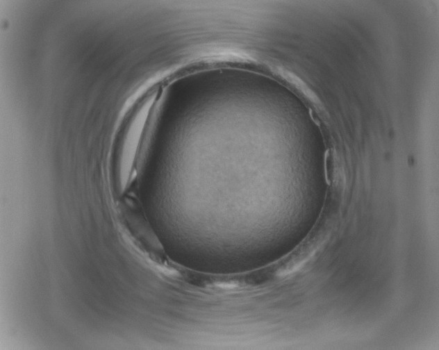 X0000079340391200612082029