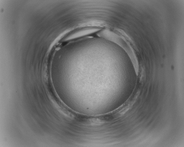 X0000079340392200612082029