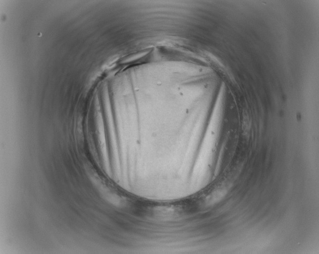 X0000079340394200612082029