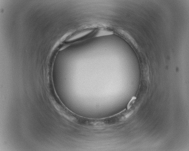 X0000079340395200612082029