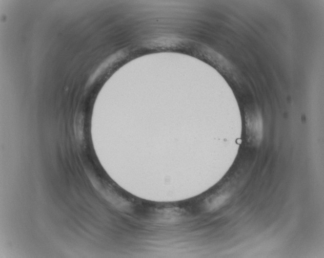 X0000079340396200612082029