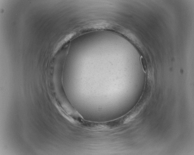 X0000079340397200612082029