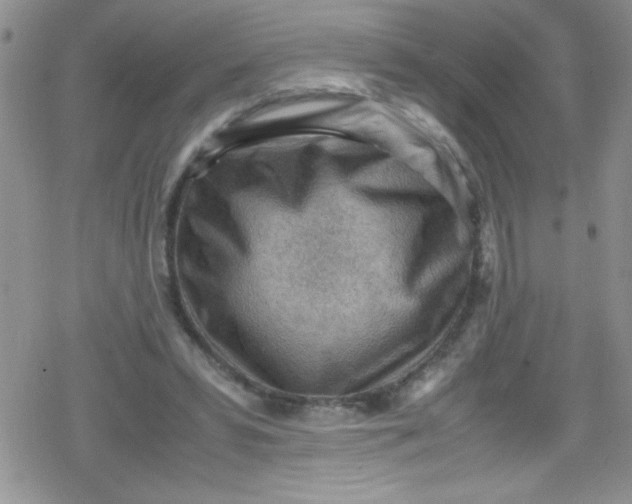 X0000079340399200612082029