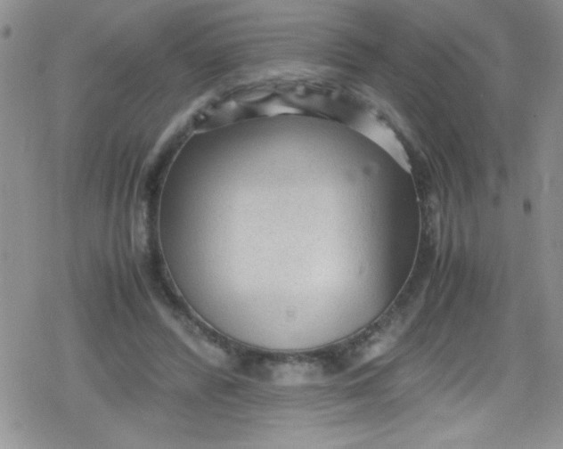 X0000079340400200612082029