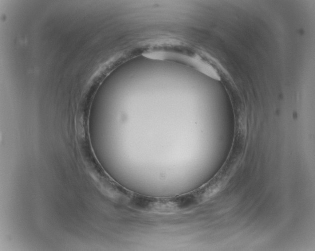 X0000079340403200612082029