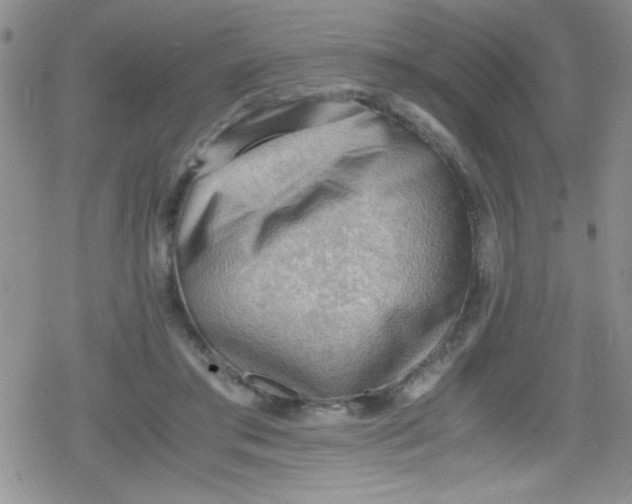 X0000079340405200612082029